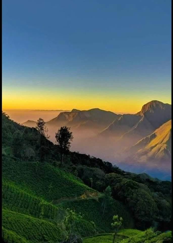 14f3c855-83a0-45fc-8078-83d173f8a876