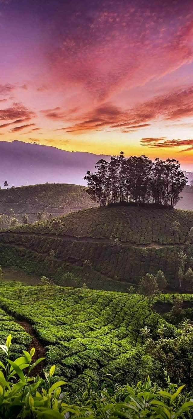 38c15e86-1d35-4b43-b686-e69952103573