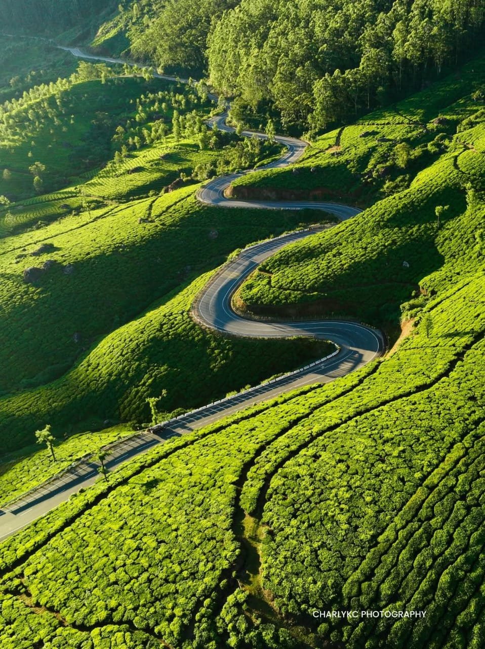 3dc61c6c-fc3a-4f82-ac98-fb4979a0b7fb