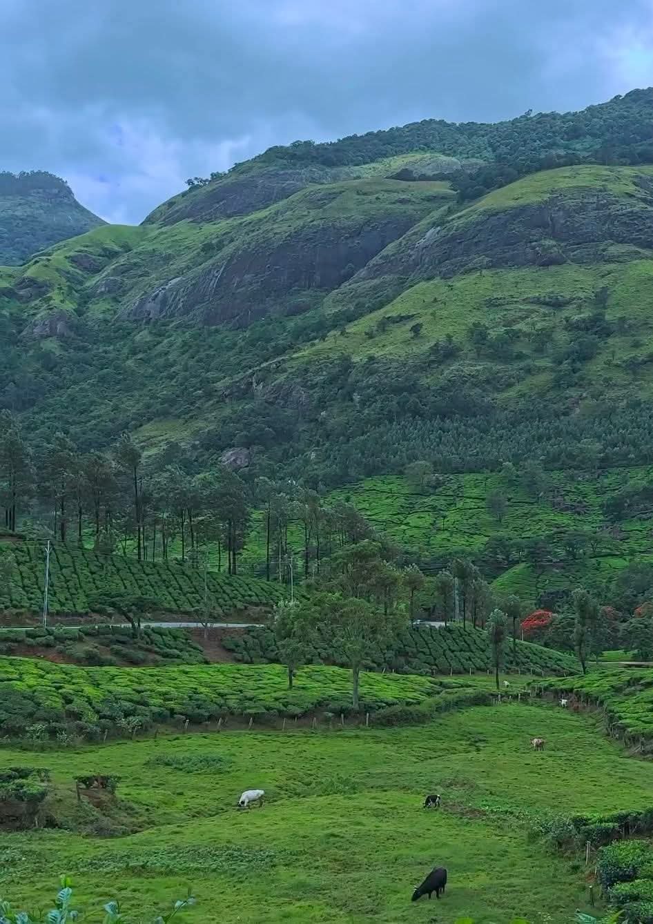 81d53756-cbab-493a-a9e3-97745eacaf6b