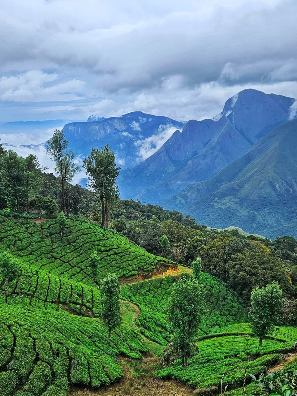 d53669a6-2159-4ed9-a1e5-bdc5765089c4