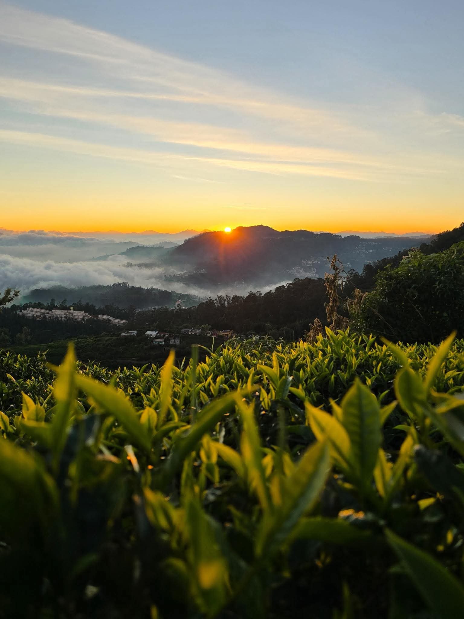 d8f0238b-1c72-46b4-b3c1-9db04e196ace