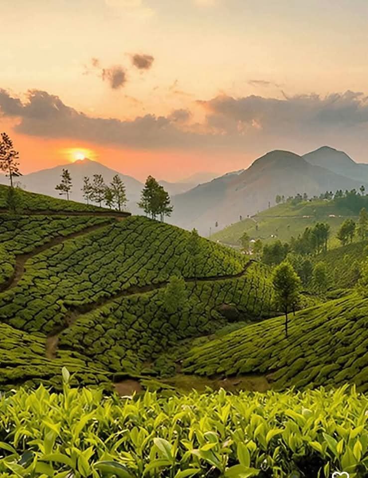 e1d58a05-9b70-450c-a6e7-44dcd509df79