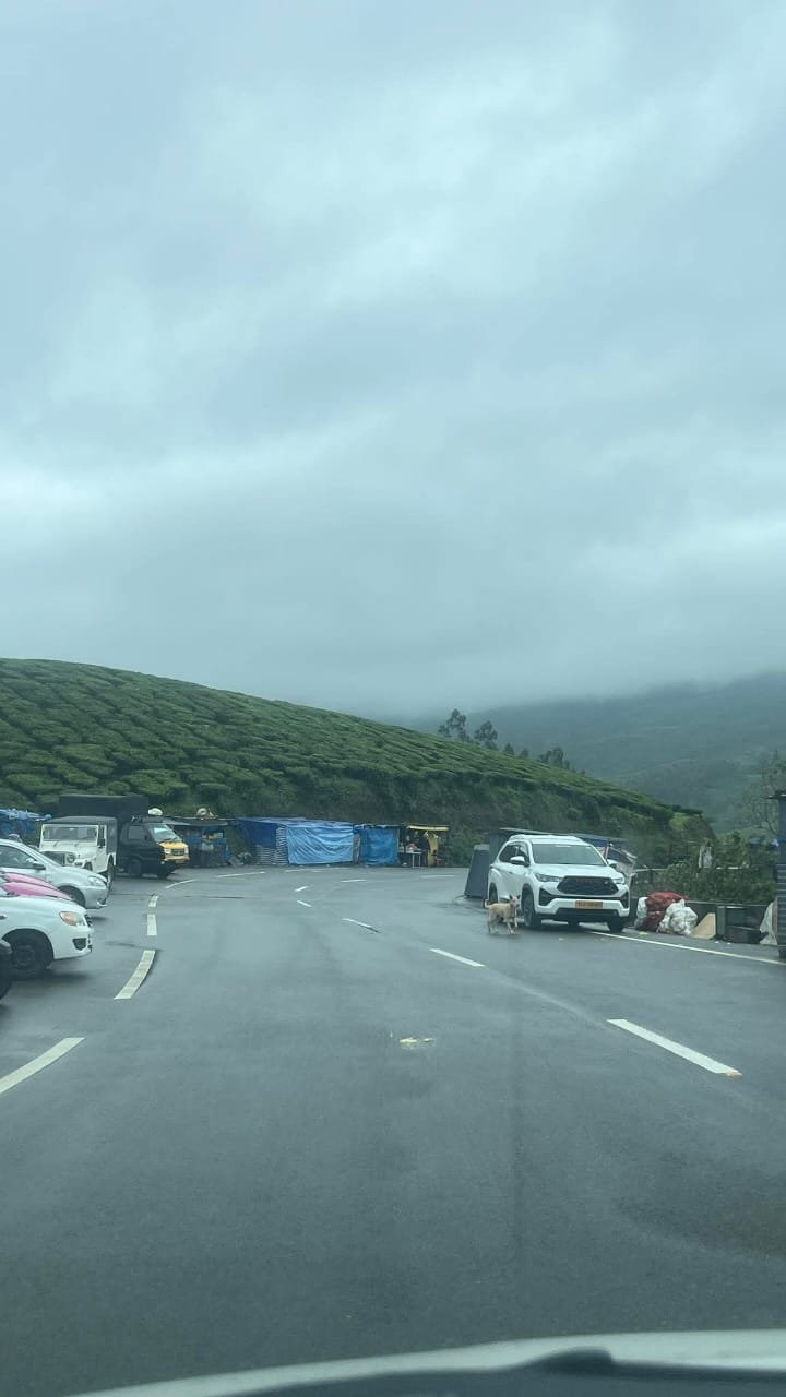 edd255a0-5393-4e35-a550-d743c2da6889